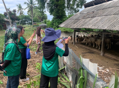 เข้าติดตามผลการใช้เงินกู้กองทุนพัฒนาสหกรณ์ ตามโครงการปกติ พารามิเตอร์รูปภาพ 3
